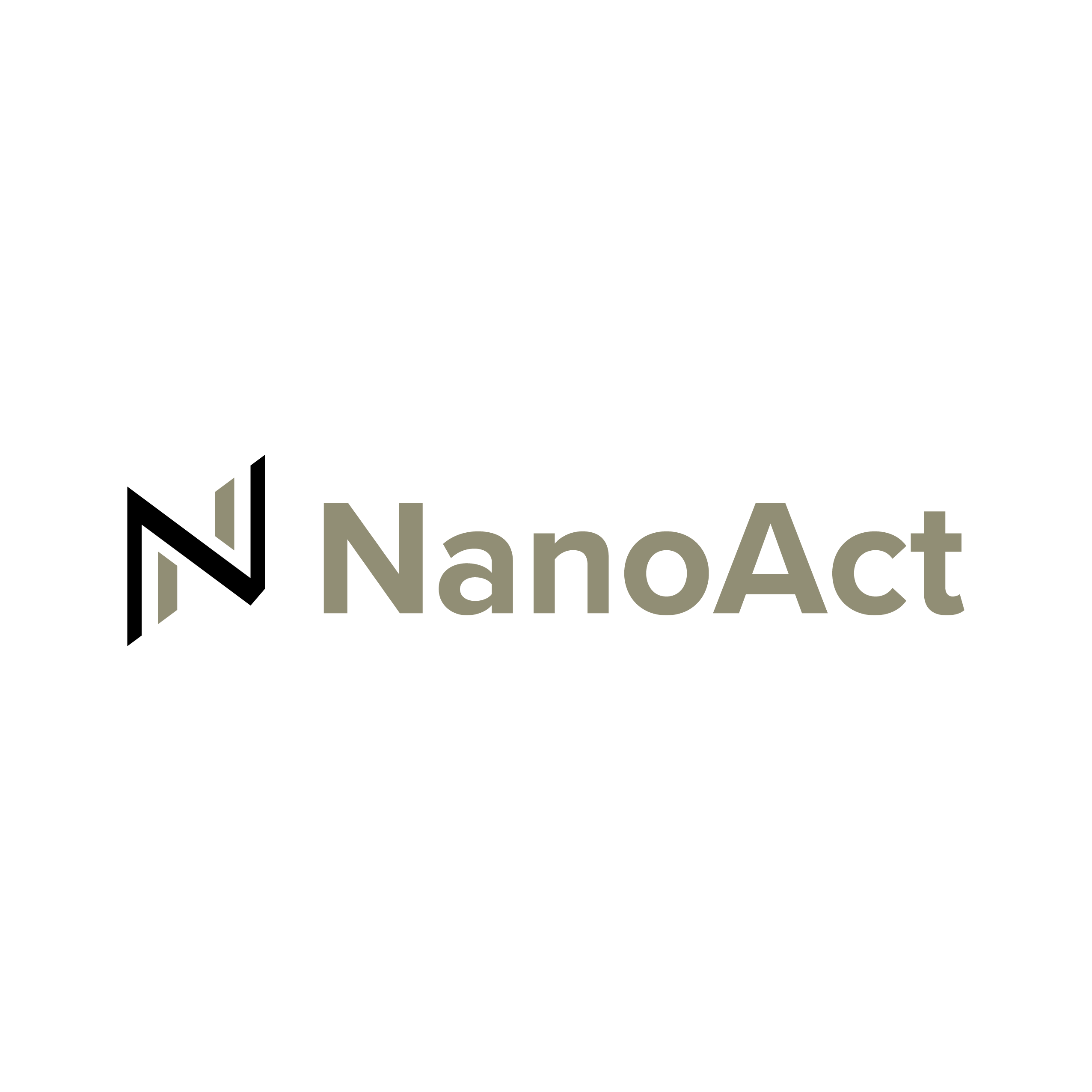 NanoAct